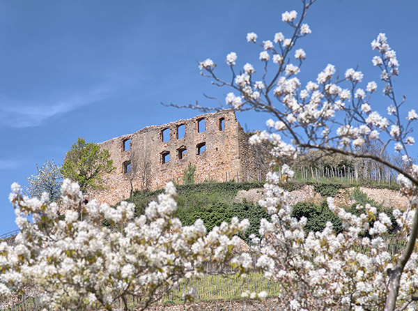 Haus God - Ferienwohnungen in Staufen